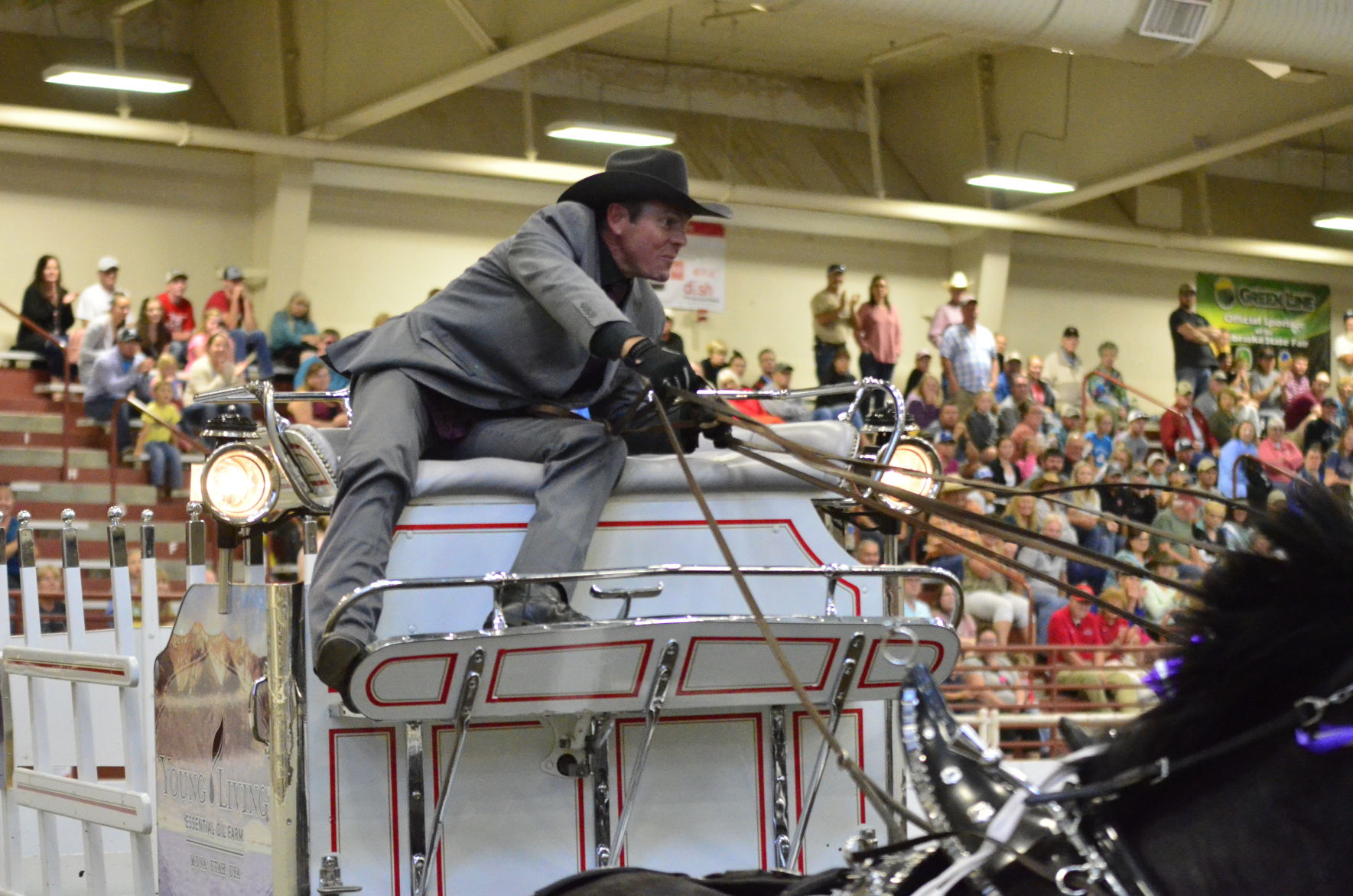 8-25-19 Draft Horse Hitch Final (94).JPG